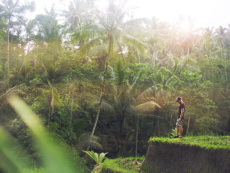 a man standing near the edge of an earth mound near a tropical jungle, at the edge of a rainforest 4k