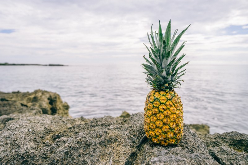 fresh pineapple on a rocky shore by the ocean, pineapple on the rocks 4k