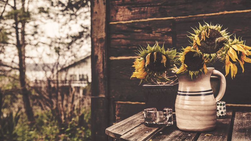 sunflowers, vase, flowers, 4k