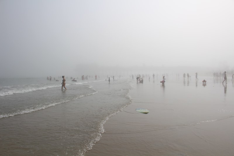 people relishing the fog at mist covered beach, beach covered in fog 4k