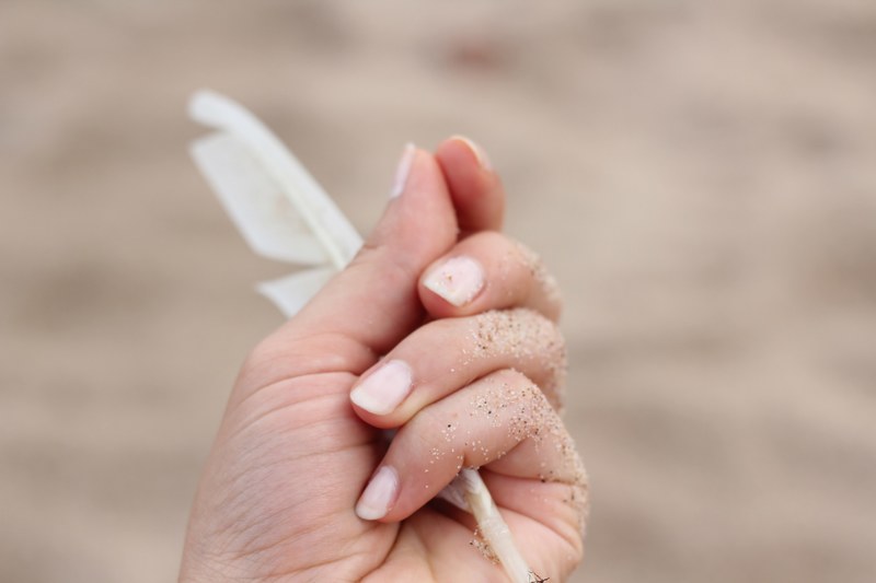 hand holding feather and skin tone 4k