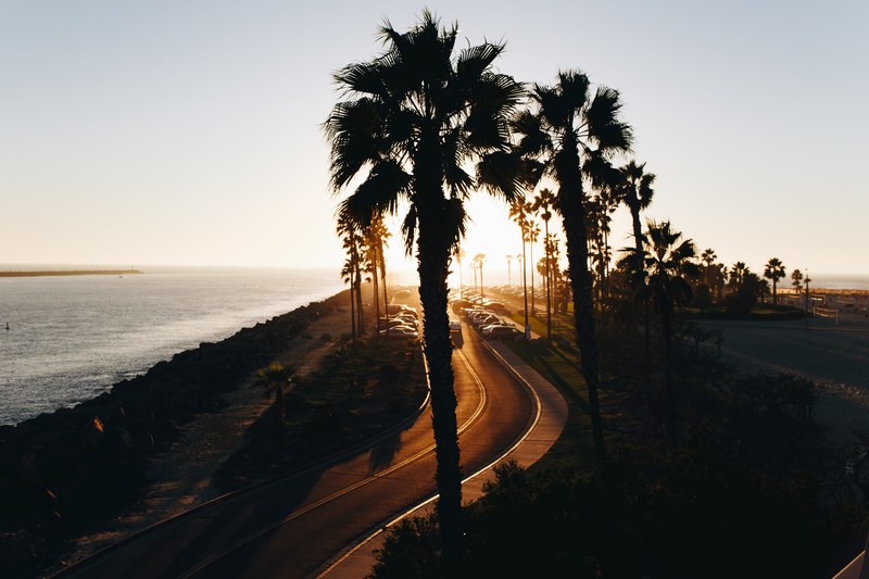 palm tree boulevard road by the ocean during sunset at mission beach, palm tree boulevard 4k