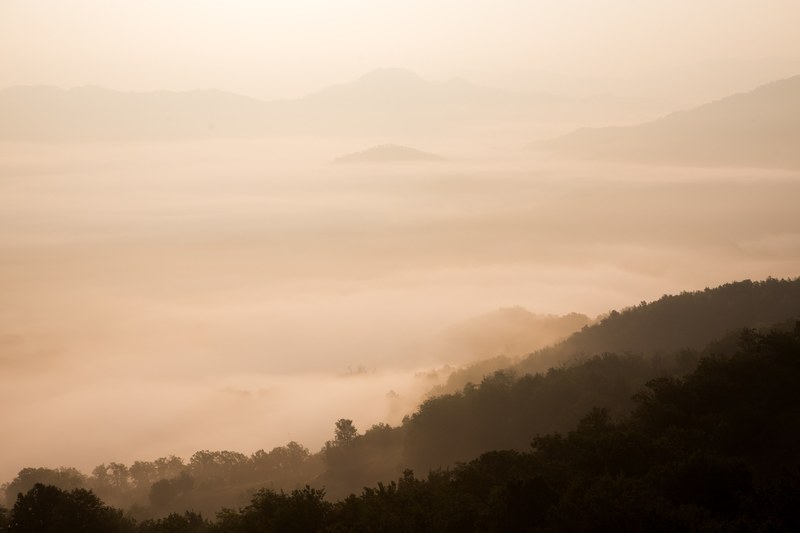 a deep mountain valley covered with a thick layer of fog, pale foggy mountain valley 4k