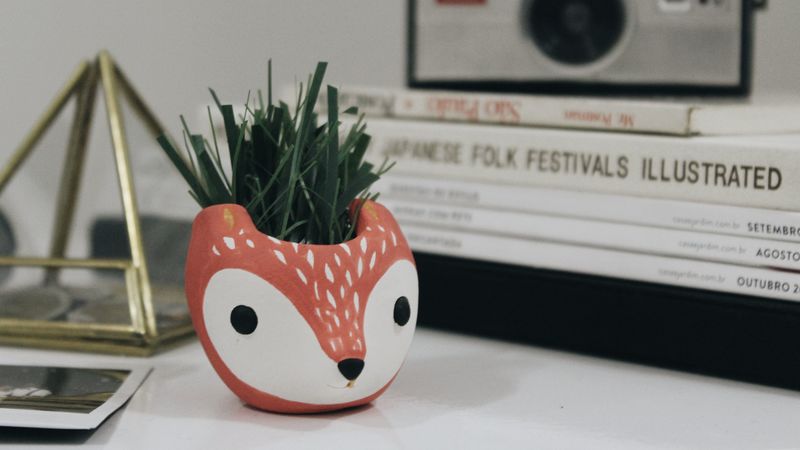 fox, vase, grass, table, 4k