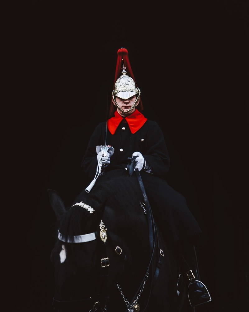 feeling regal 4k