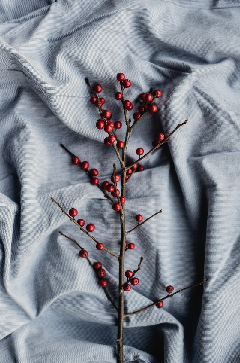 an overhead shot of a branch with red berries on a linen fabric, berry christmas 4k