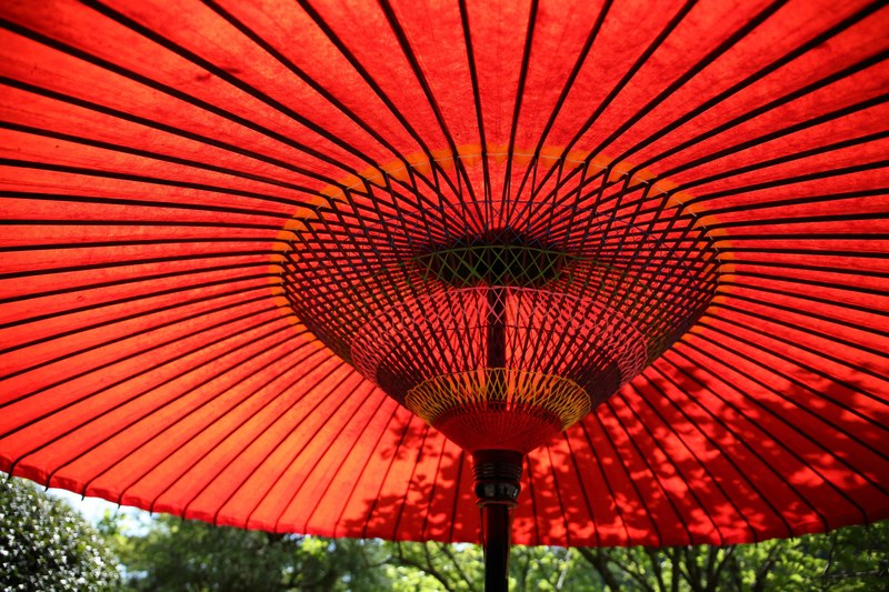 umbrella red outdoor and chinese umbrella 4k