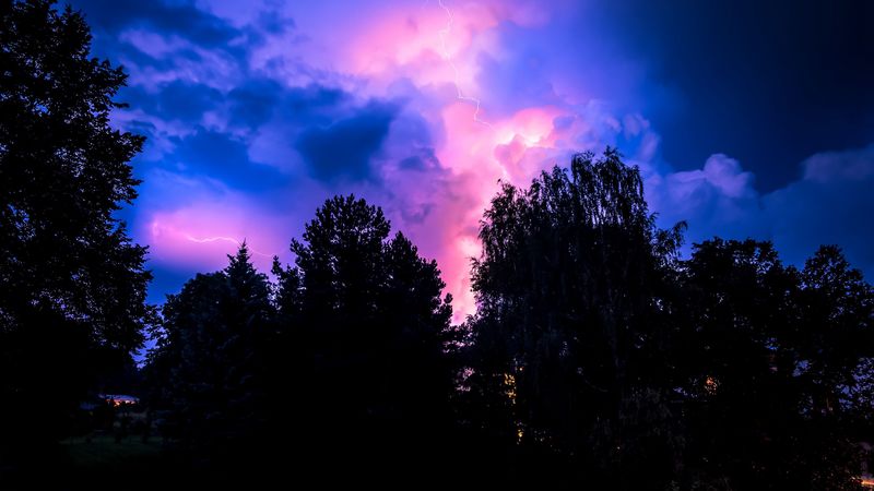 storm, sky, trees, night, 4k