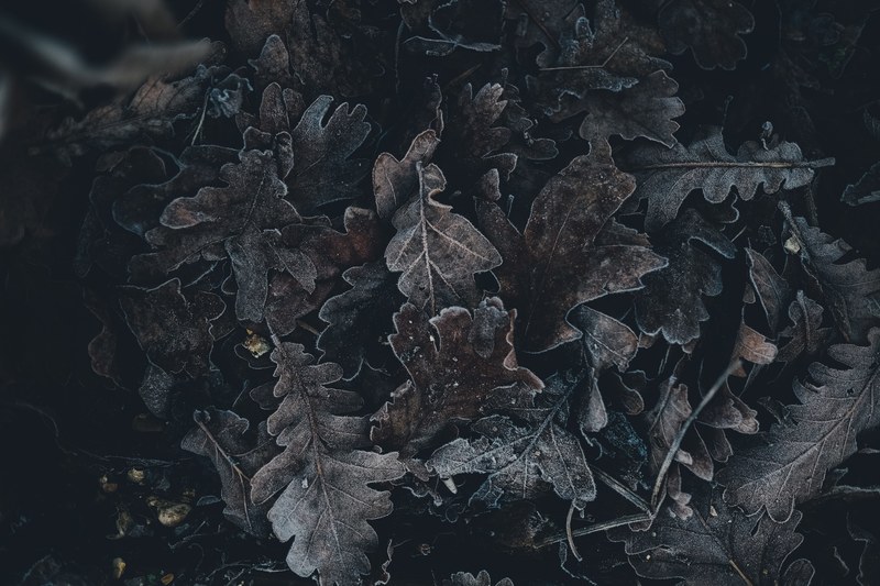 crunchy underfoot 4k