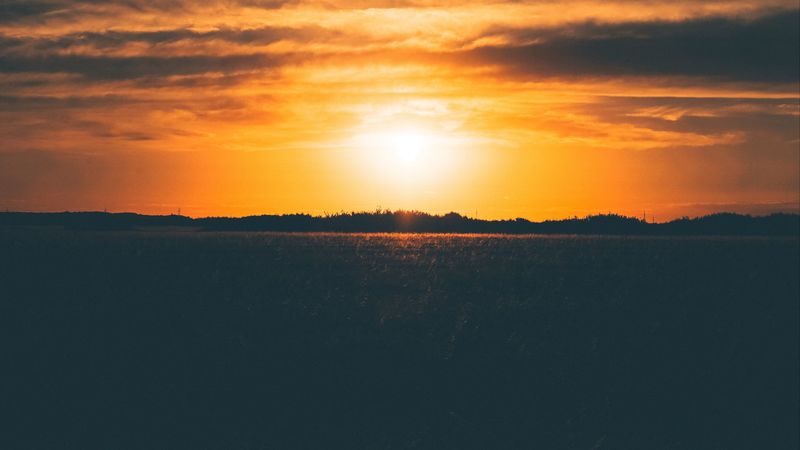 sunset, field, grass, sky, 4k