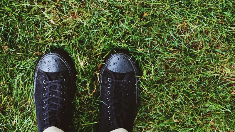 sneakers, grass, drops, dew, 4k