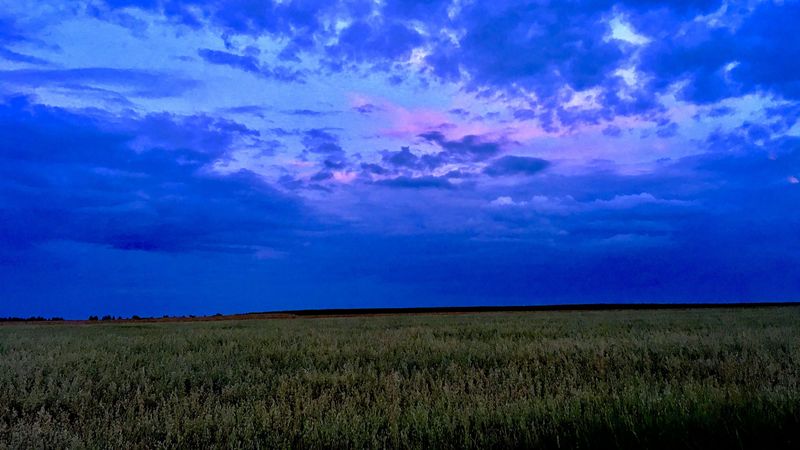 field, sky, clouds, evening, 4k