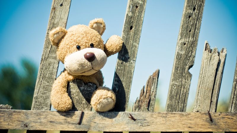 teddy bear, fence, toy, 4k