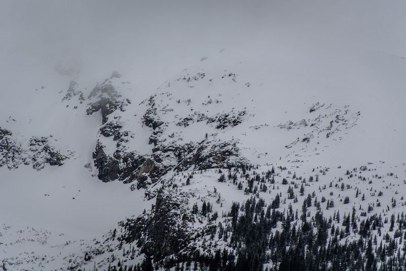 a tree lined mountain slope coated with a thick layer of snow in silverthorne, tree lined slope in the winter 4k