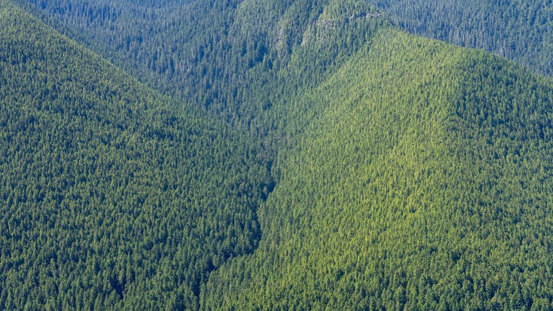 a shallow valley between two wooded hills near lake crescent, wooded valley between hills 4k
