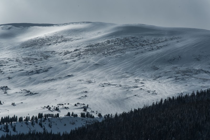 an evergreen forest at the foot of a bare snow covered slope, forest near a snowy hill 4k