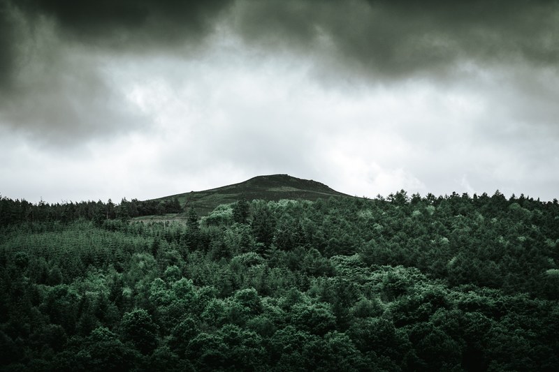 a green hill rising up above a coniferous forest near ladybower reservoir, peaking emotion 4k