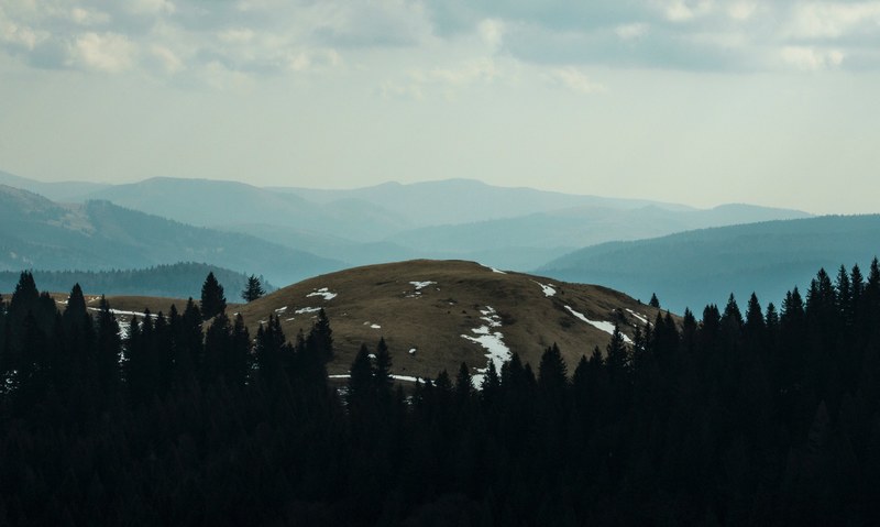 a barren hill covered with patches of snow near an evergreen forest, barren hill by the woods 4k