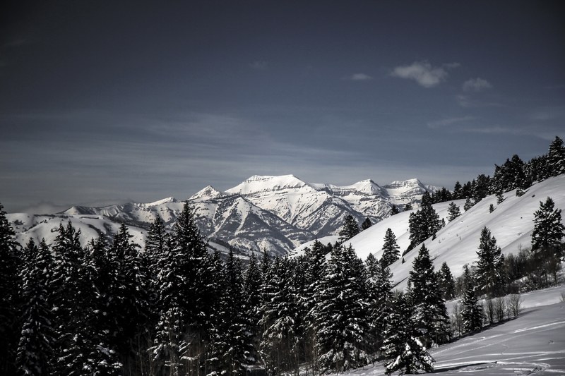 a scenic background shot of a treed forest among snow hills and larger mountains in the backdrop, snow mountain background photo 4k