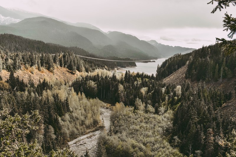a river flowing into a lake near tall wooded hills, remote lake 4k