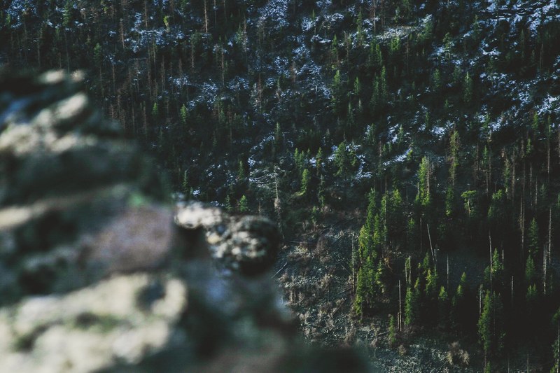 view from a mountain down on a forest partly covered in snow, forest down below 4k