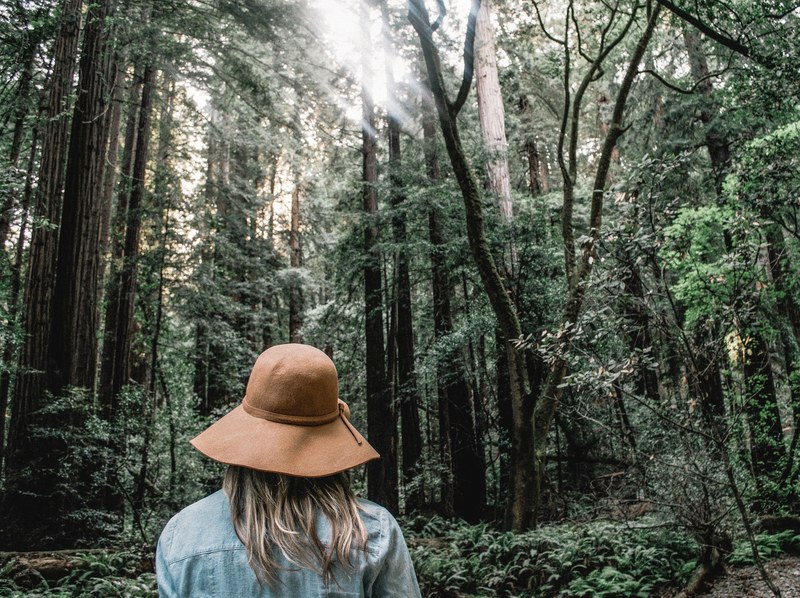 a woman in a hat hiking through a bright forest, hiking in a san francisco forest 4k