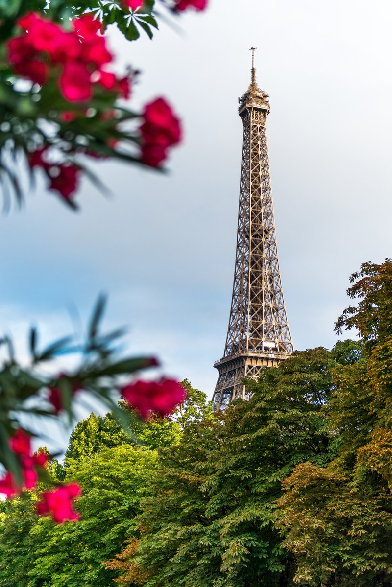 a shot of the top of the eiffel tower in paris framed by trees and red flowers, eiffel tower behind flowers 4k