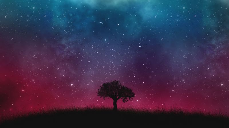 starry sky, night, tree, 4k