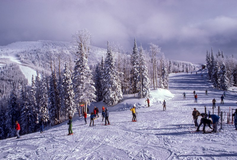 tourists skiing down a snowy slope surrounded by evergreen woods, skiing between the snow topped trees 4k
