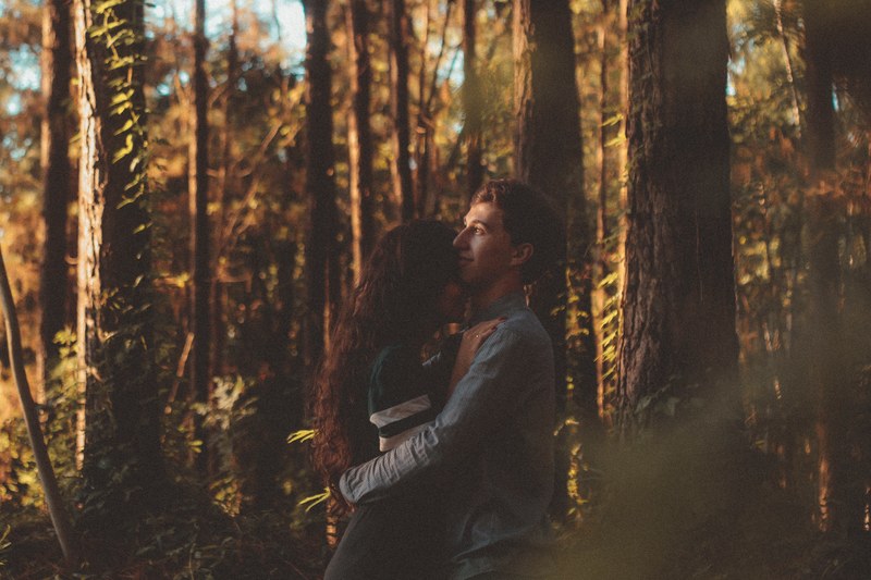 a sunlit couple hugs surrounded by trees in an autumn forest, sunlit forest hug 4k