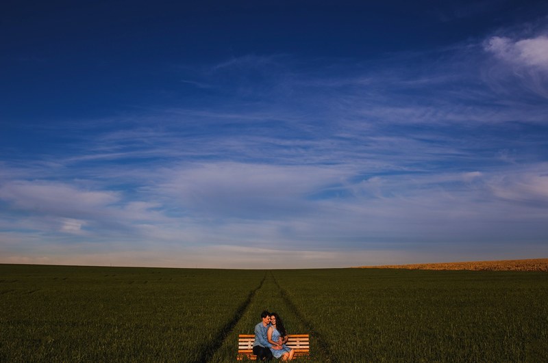 field horizon bench and romantic 4k