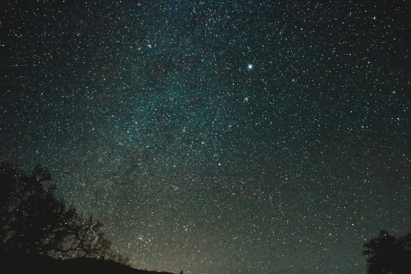 starry night sky over tree silhouettes in pinnacles national park, night sky over a national park 4k