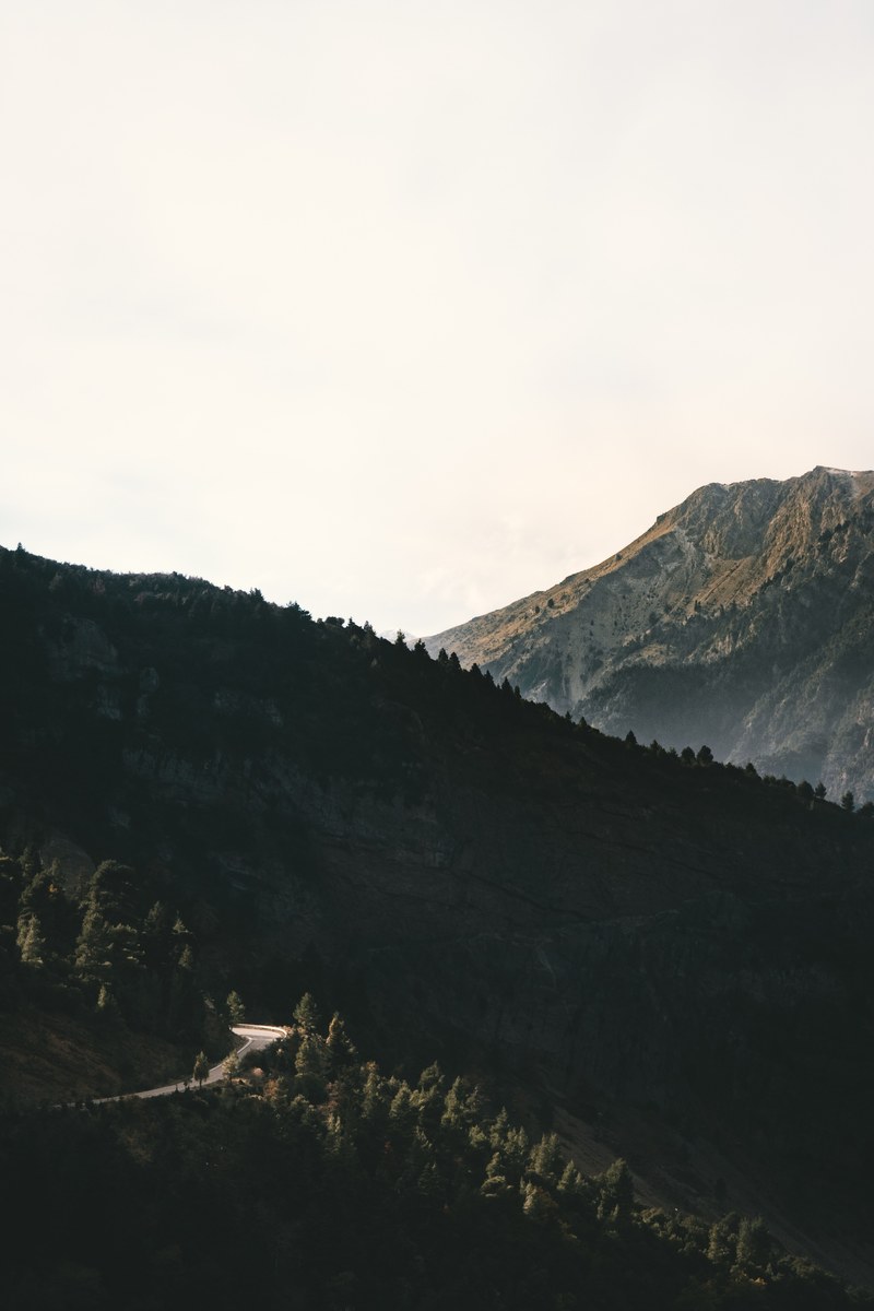 lonely sunny road 4k