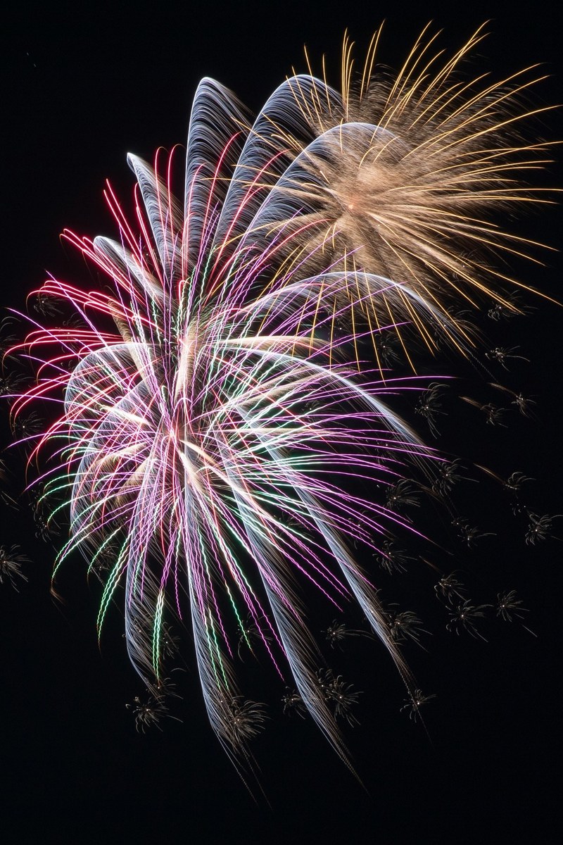 color firework exploding and salute hd, 4k
