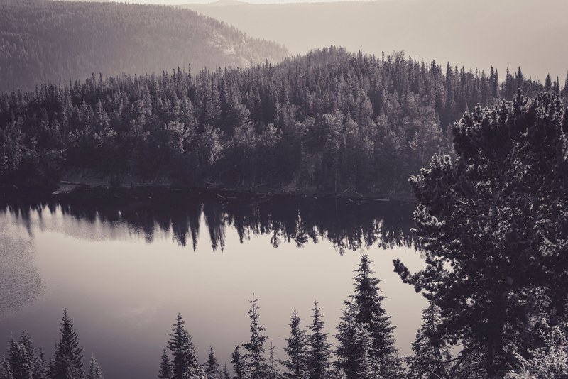 a black and white picture of woody hills by a lake, black and white forest lake 4k