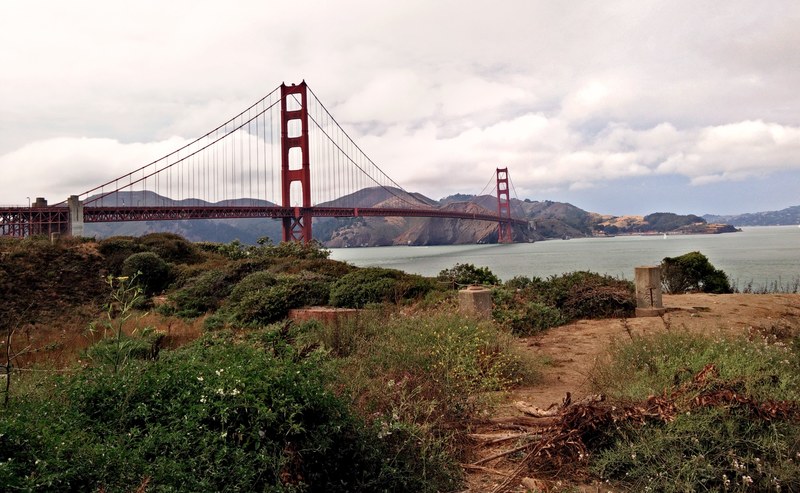 view of golden gate bridge from the bushes, golden gate through the brush 4k
