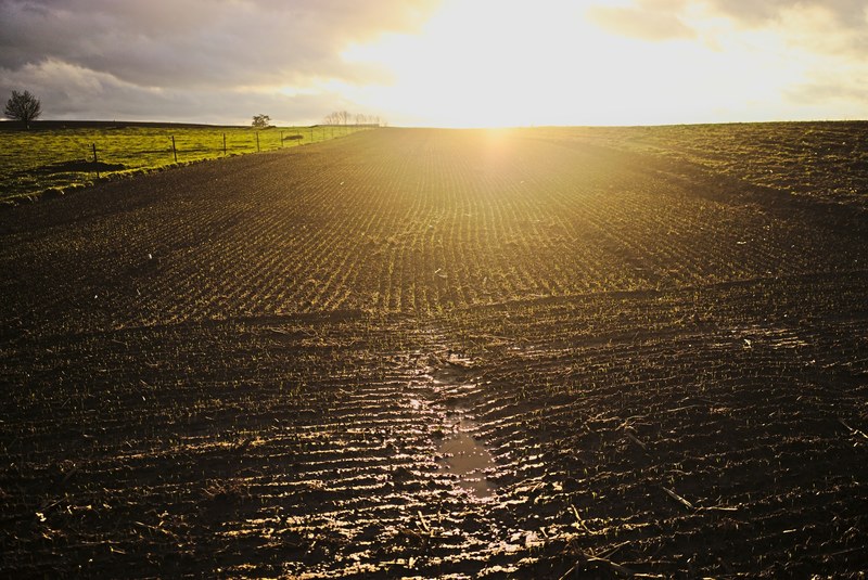 flare sun mud and dirt 4k