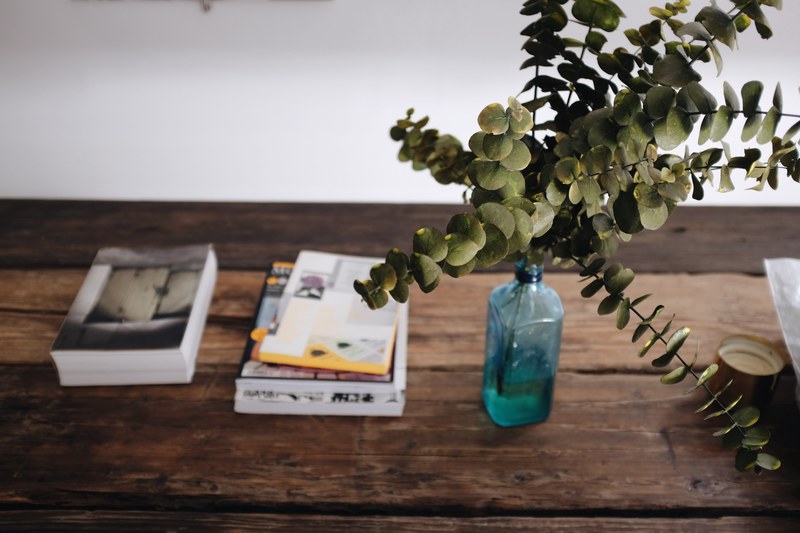 books on a wooden table next to a leafy branch in a bottle, books and green leaves 4k