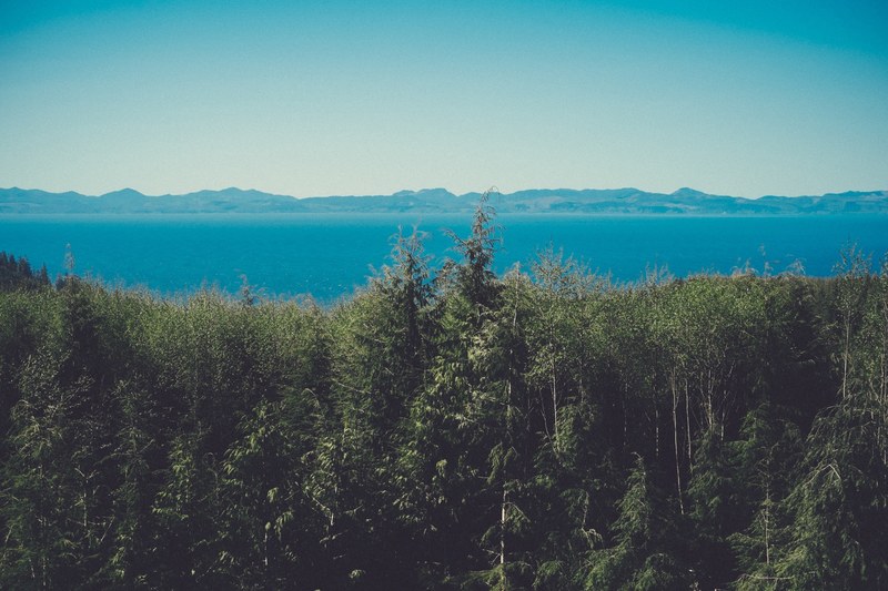 an evergreen forest over azure water with hills on the horizon, evergreen forest by the lake 4k