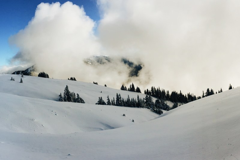 fog moves in over the trees and snow on hurricane ridge in washingtons olympic national park, fog covers hurricane ridge 4k