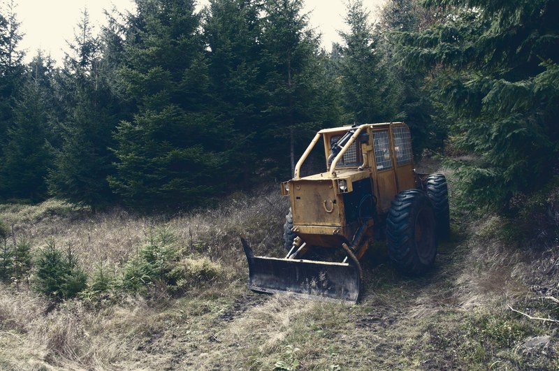 bulldozer does construction taking down trees in the forest, deforestation 4k