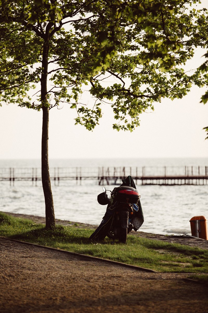 a motorbike stands aside a path beneath a tree in front of lake balaton, motorbike by the lake 4k