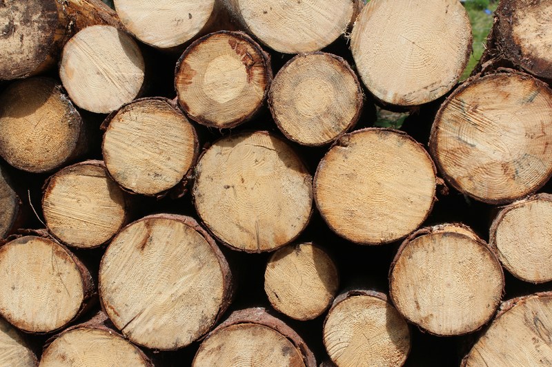 a pile of thick sawn logs stacked on top of each other, stacked logs 4k