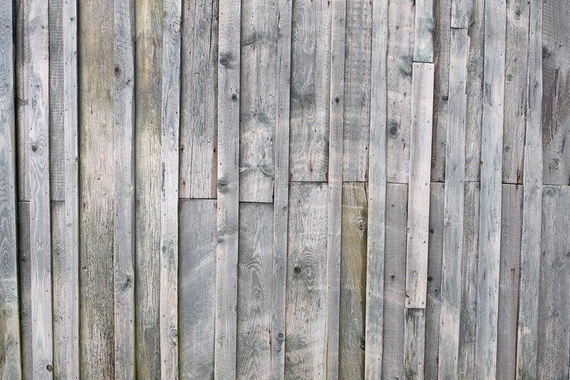 tree weathered old and wall 4k