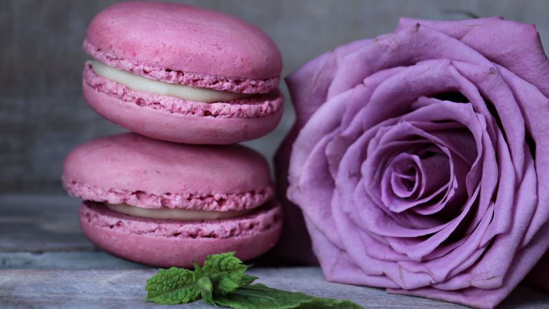 macaron, almond biscuits, pastries, dessert, 4k