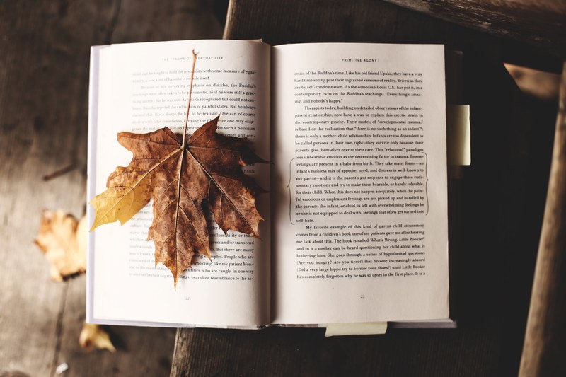 book open page and leaf 4k