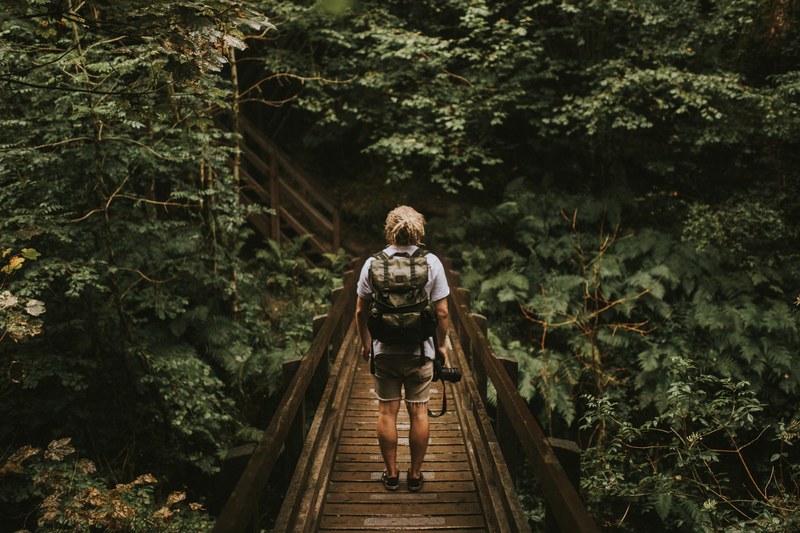 a man with a backpack and a camera on a boardwalk in a forest, photographer on a boardwalk 4k