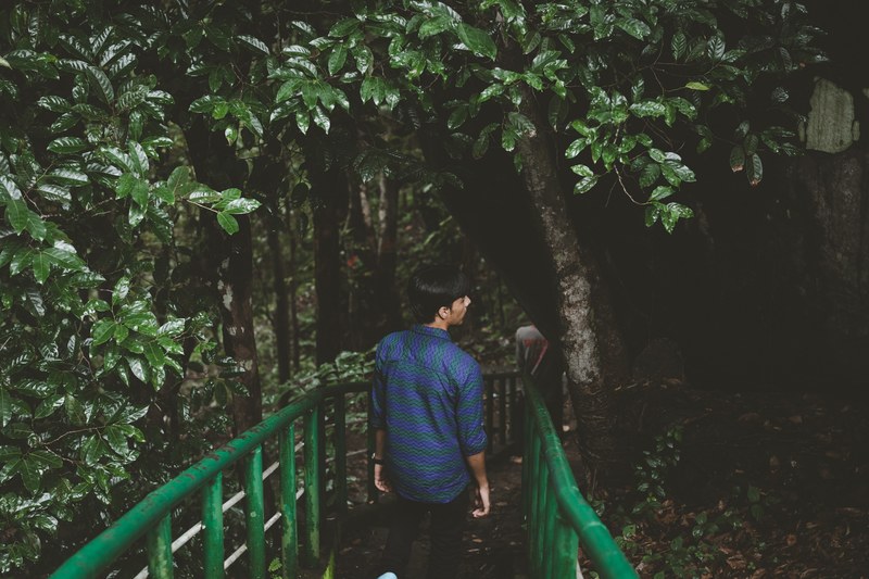 a person walks down a path with green railings through a vibrant forest, way down we go_ 4k