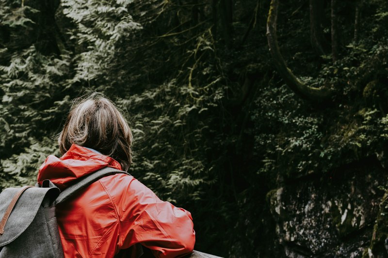 hiker in a raincoat wearing a backpack and standing on a bridge overlooking trees, bridge lookout 4k