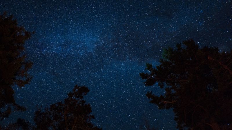 starry sky, night, trees, stars, 4k